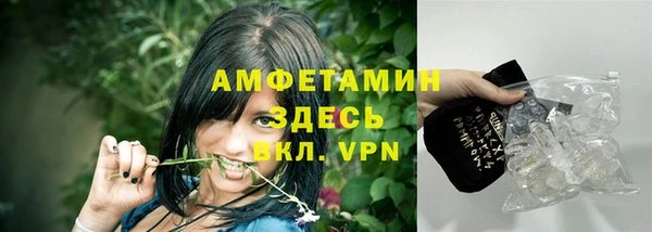 ПСИЛОЦИБИНОВЫЕ ГРИБЫ Каменка