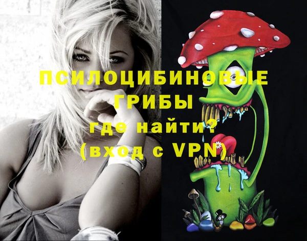 ПСИЛОЦИБИНОВЫЕ ГРИБЫ Каменка