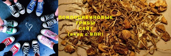 ПСИЛОЦИБИНОВЫЕ ГРИБЫ Каменка