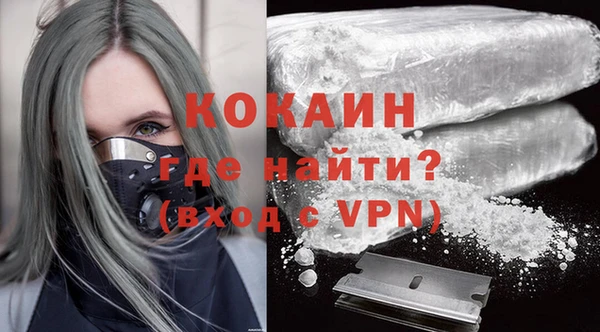 ПСИЛОЦИБИНОВЫЕ ГРИБЫ Каменка