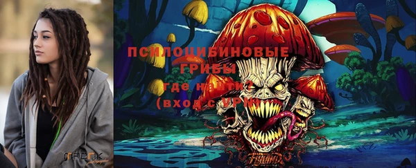 прущая мука Каменногорск
