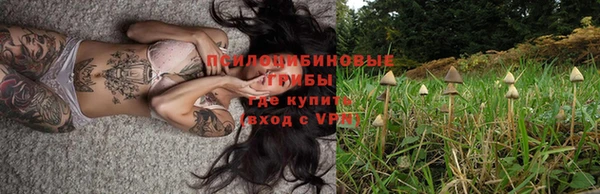 ПСИЛОЦИБИНОВЫЕ ГРИБЫ Каменка