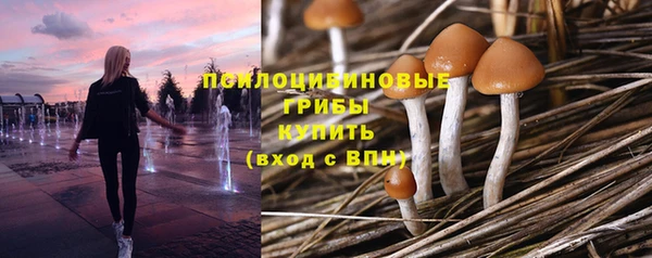 ПСИЛОЦИБИНОВЫЕ ГРИБЫ Каменка