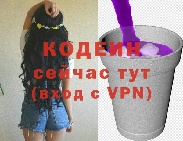 ПСИЛОЦИБИНОВЫЕ ГРИБЫ Каменка